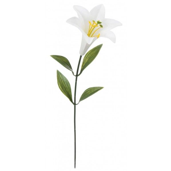 PEテッポウユリ W 全長57cm・花径11cm FF -2843 1本