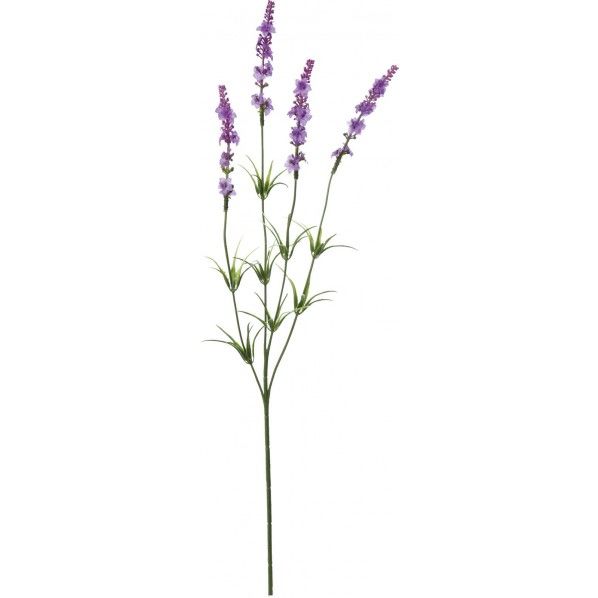 ラベンダーX4 LAV 全長57cm・花房長9cm FF -2903 1本