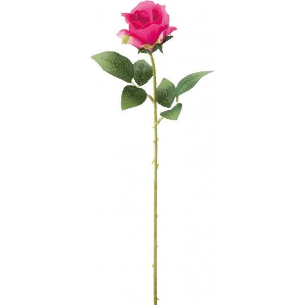 シングルローズ