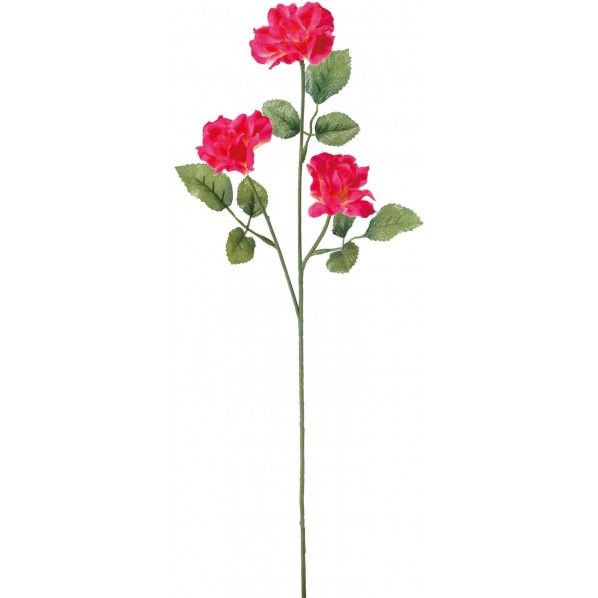 ベルベットローズX3