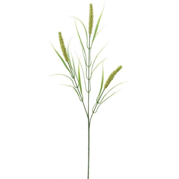 フォックステールスプレー GR 全長65cm・房長9.5cm FF -2939 1本