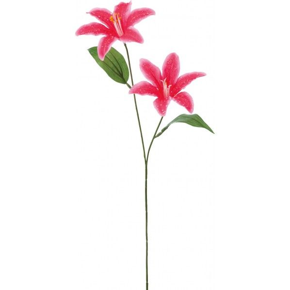 アメツキリリーX2