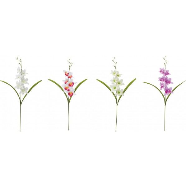 デンファレ AST 全長63cm･花径6.5～8cm FF -2950 1本