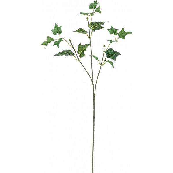 アイビースプレー