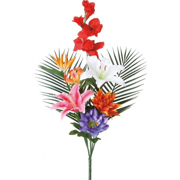 ヒシガタブッシュLL MIX 全長70cm・幅45cm FP -0810 1本