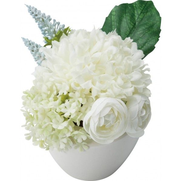 ブツダンヨウミニアスターポット CR 全長12cm・幅10cm FP -0844 1コ