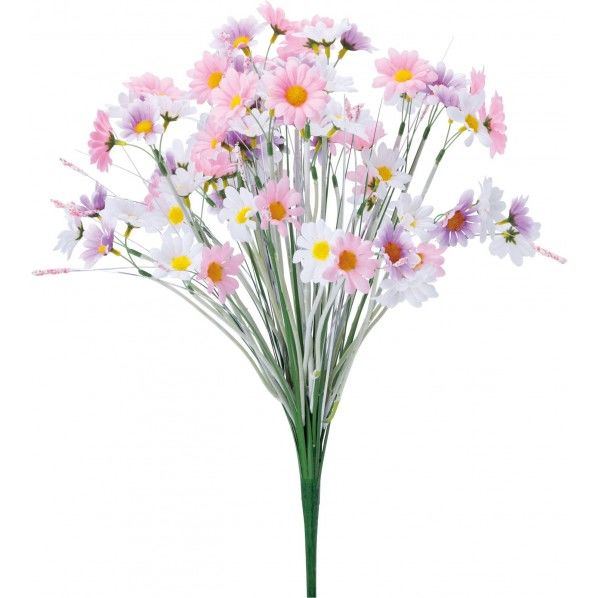 グラスマーガレットブッシュ P/L 全長55cm・花径4.5cm・幅40cm FP -5027 1本