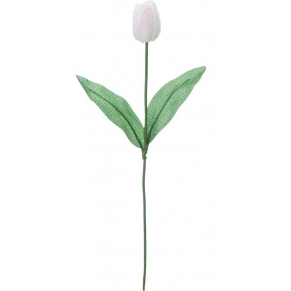 サテンアメツキチューリップ W 全長52cm・花長6cm FS -7819 1本