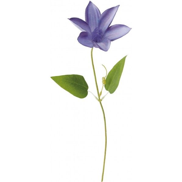 クレマチスピック LPU 全長33cm・花径9cm FS -7848 1本