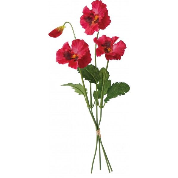 パンジーバンドル