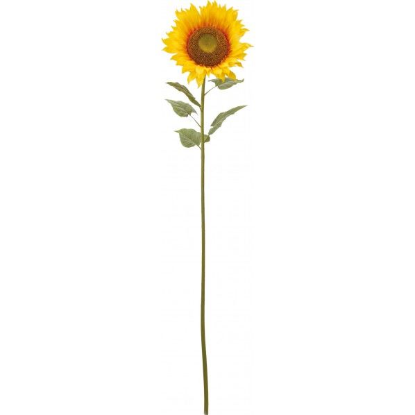 Y 全長185cm・花径47cm FS -8164A 1本