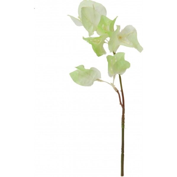 ブーゲンビリアショート