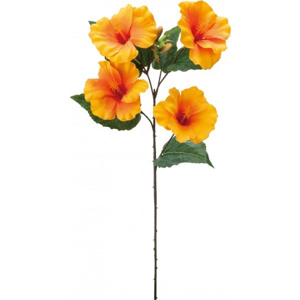 ハイビスカススプレー