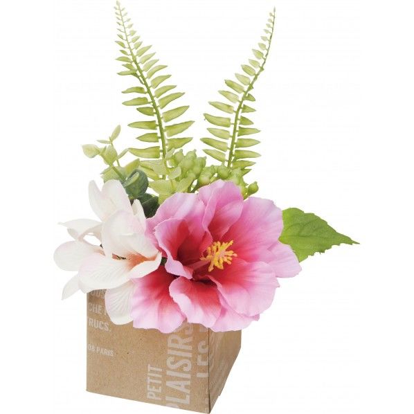 ハイビスカスポット