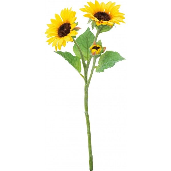 サテンヒマワリX3 Y 全長43cm・花径3～10cm FS -8256 1本