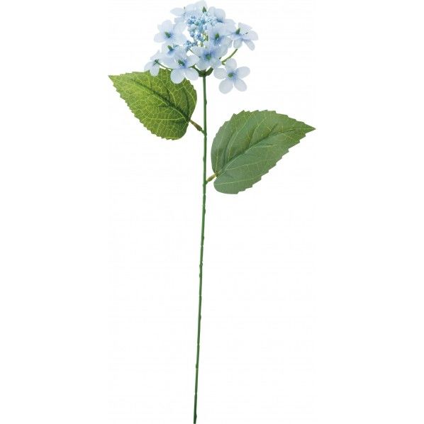 ガクアジサイ BLU 24本/B 480本/C FS -8287 1本