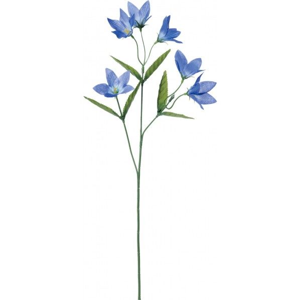 キキョウスプレー