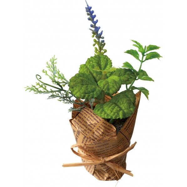 グリーンポットミントミックス