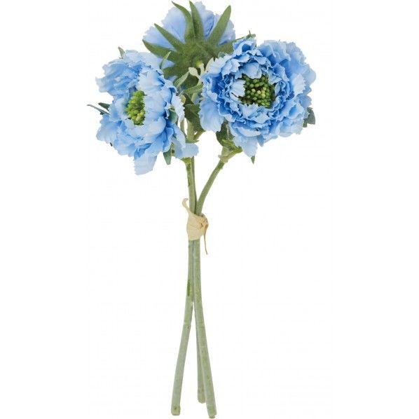 スカビオサバンドル FB -2565LBL 1束