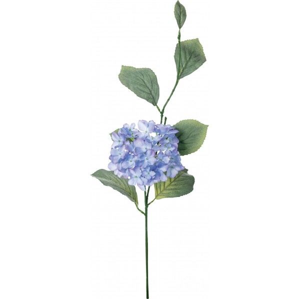 ハイドレンジアスプレー