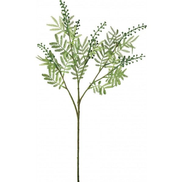 アカシアスプレー FD -0113GR 1本