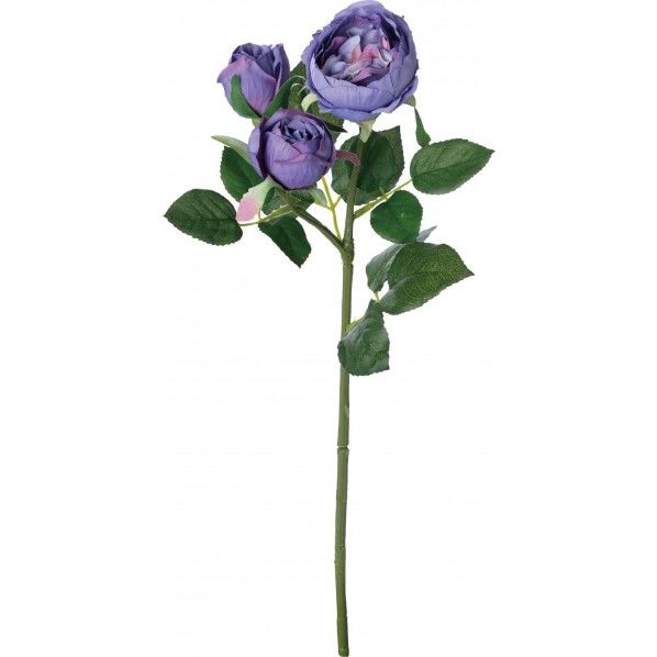 ガーデンローズスプレー