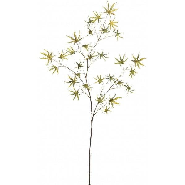 カエデスプレ- FG -5024GR 1本