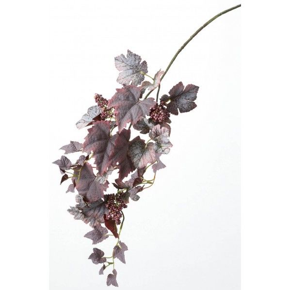 グレープベリーバイン