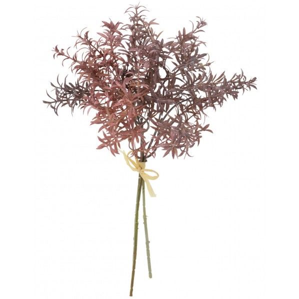 ローズマリーバンドル