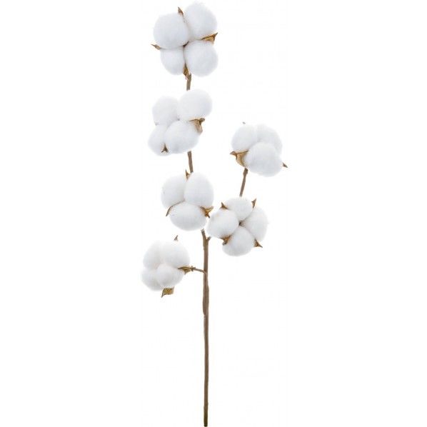 コットンスプレー FG -5053W 1本