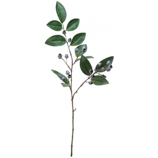 ブルーベリースプレー FG -5055BLU 1本