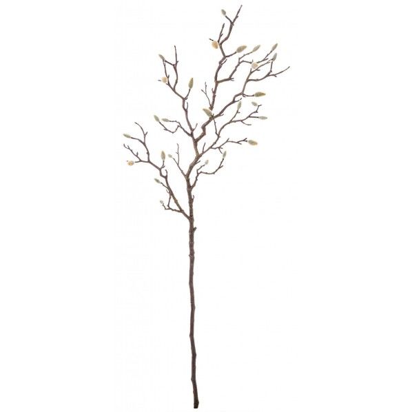 モクレンバッドブランチ FG -5071W 1本