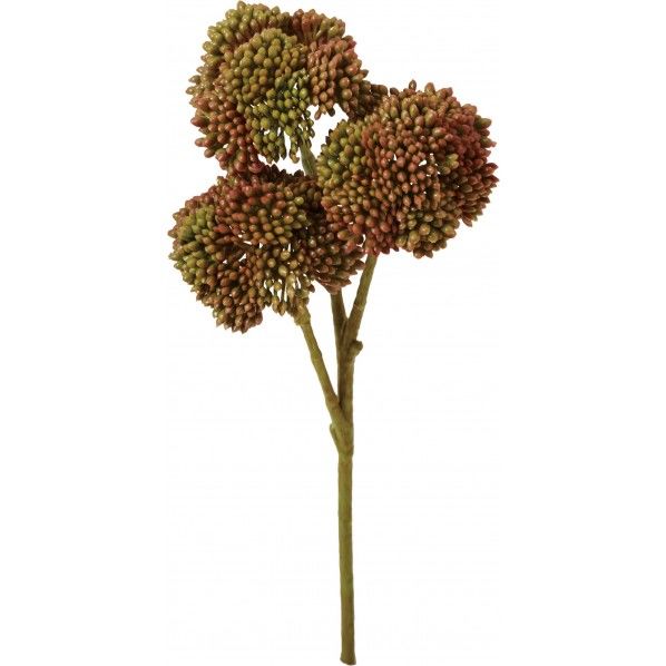 オランダセダムピック FG -5110BUR 1本