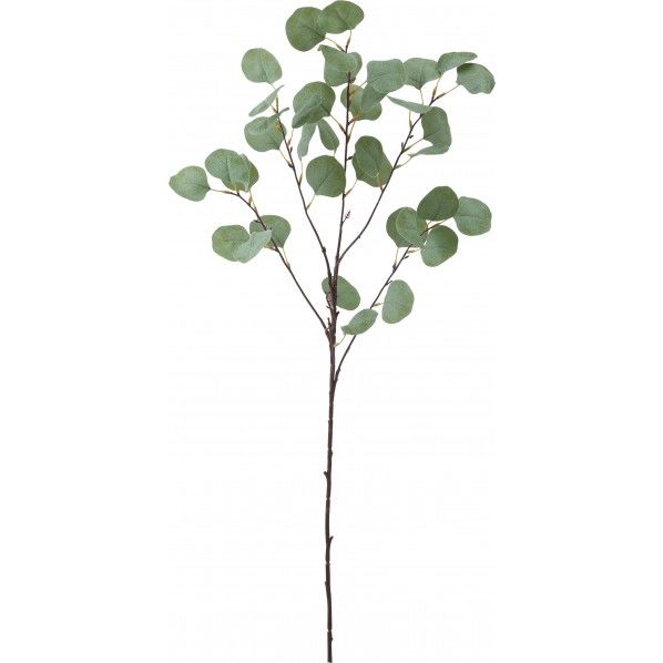 ポポラスユーカリスプレー FG -5134GR 1本