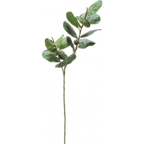 シーグレープ GL -5213GR 1本