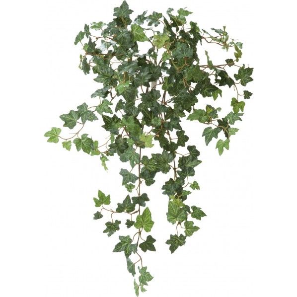 ピッツバーグアイビーハンギングブッシュ GL -5223GR 1本