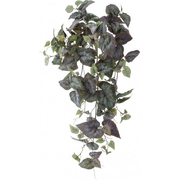 グレープベゴニアハンギングブッシュ GL -5227GR 1本