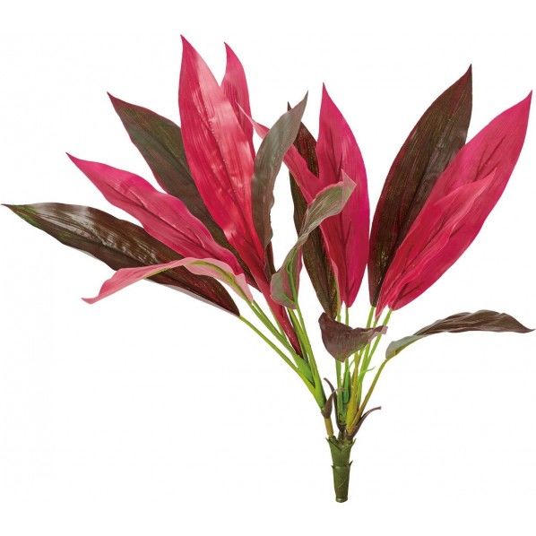 ドラセナアイチアカブッシュ GL -5256R 1本