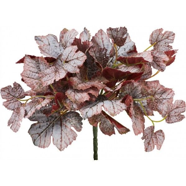 カラーヒューケラブッシュ GL -5263BUR 1本