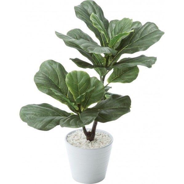 カシワバゴムポット GLA-1470GR 1個