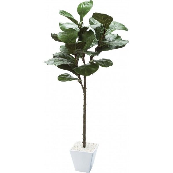 カシワバポット GLA-1501GR 1個