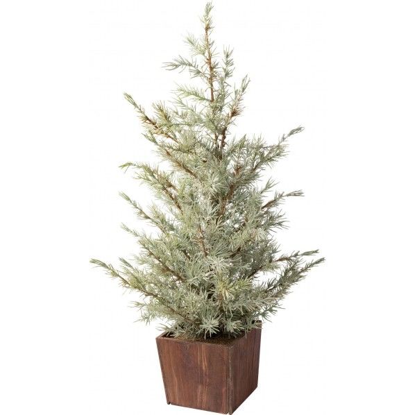 ローズマリーポット