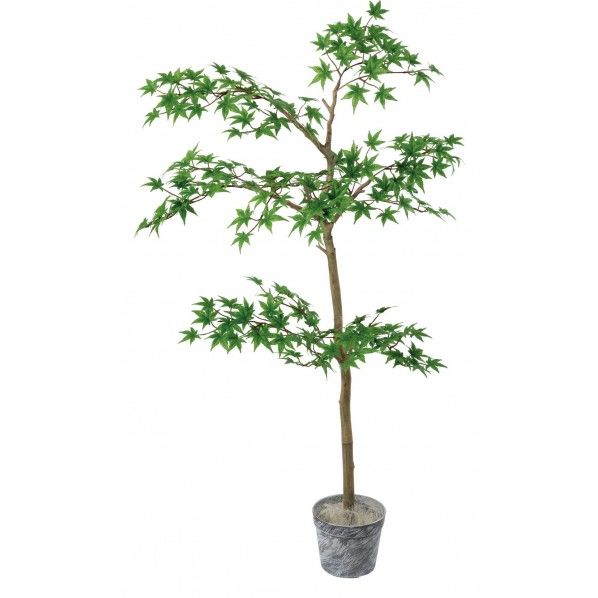 ジョイントメープルツリーセット GLA-1511GR 1本