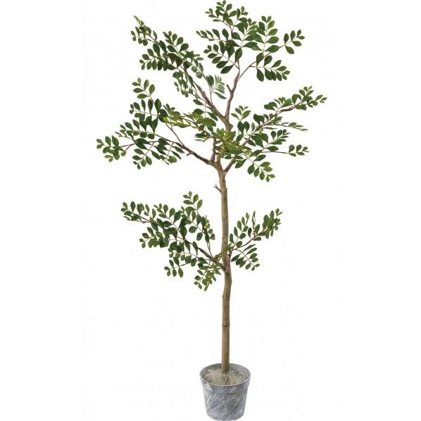 ジョイントトネリコツリーセット GLA-1515GR 1本