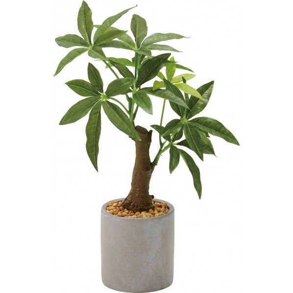 パキラセメントポット GLA-1522GR 1個