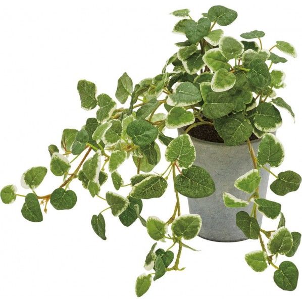 プミラポット GLA-1529GR 1個