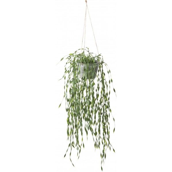 ポリシャスフリスビー GLA-1530GR 1個