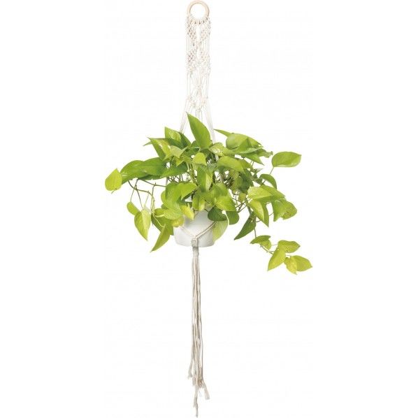 マクラメハンガー MCY-0460 1個