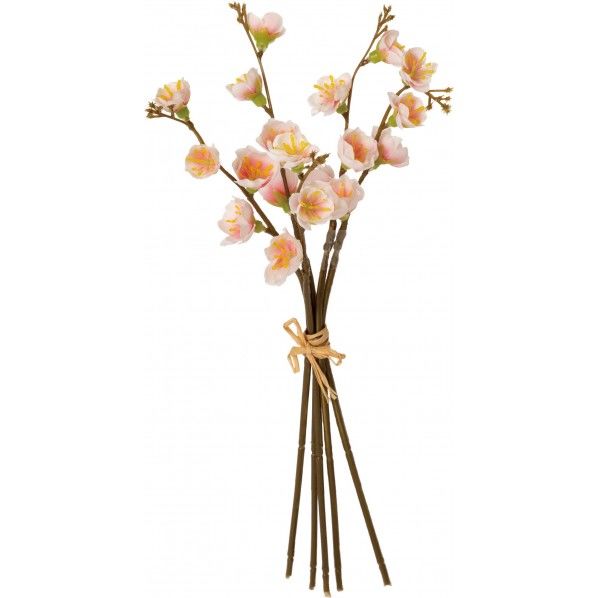 マメザクラピック(5P) FS -7906L/P 1束