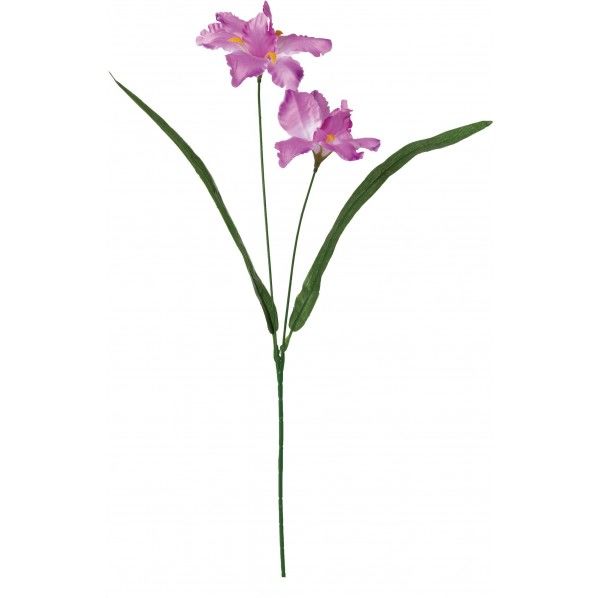 サテンアイリスX2 FS -7914L/L 1本